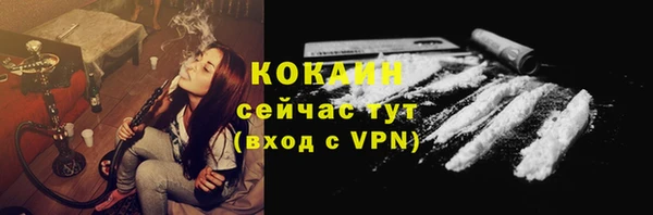 стаф Балахна