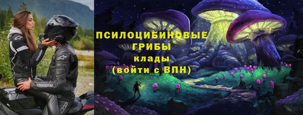 стаф Балахна