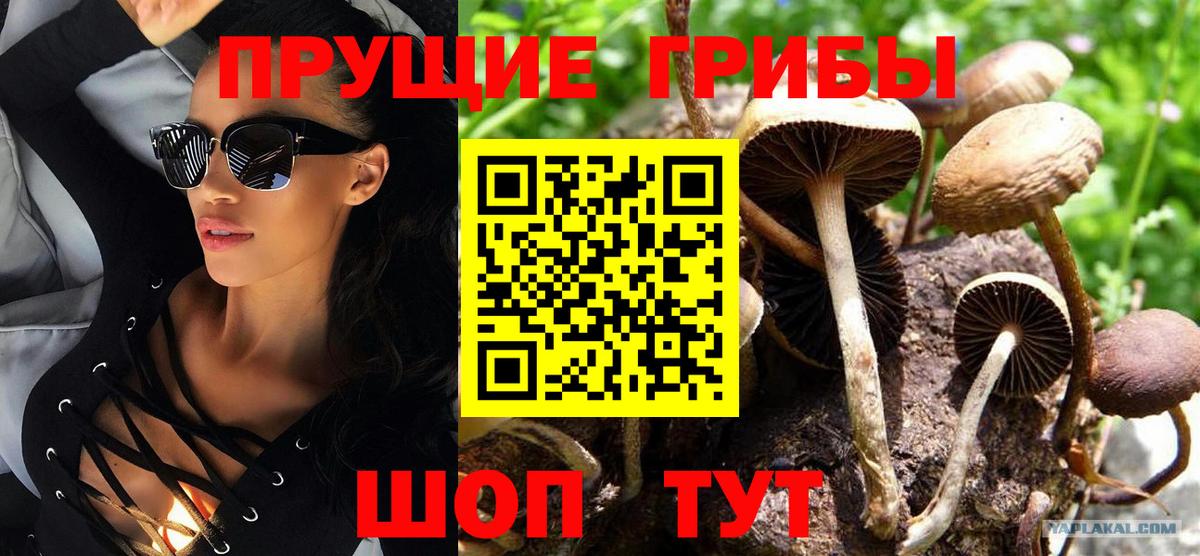 Галлюциногенные грибы мухоморы Улан-Удэ