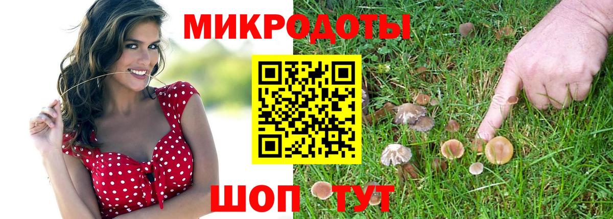 Галлюциногенные грибы ЛСД  Вход с VPN  Улан-Удэ  Галлюциногенные грибы мухоморы 