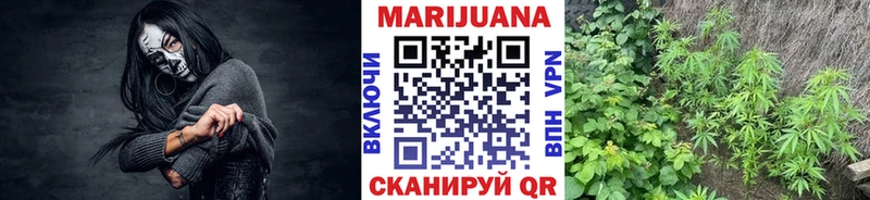 OMG ССЫЛКА  Улан-Удэ  Канабис тримм  как найти закладки 